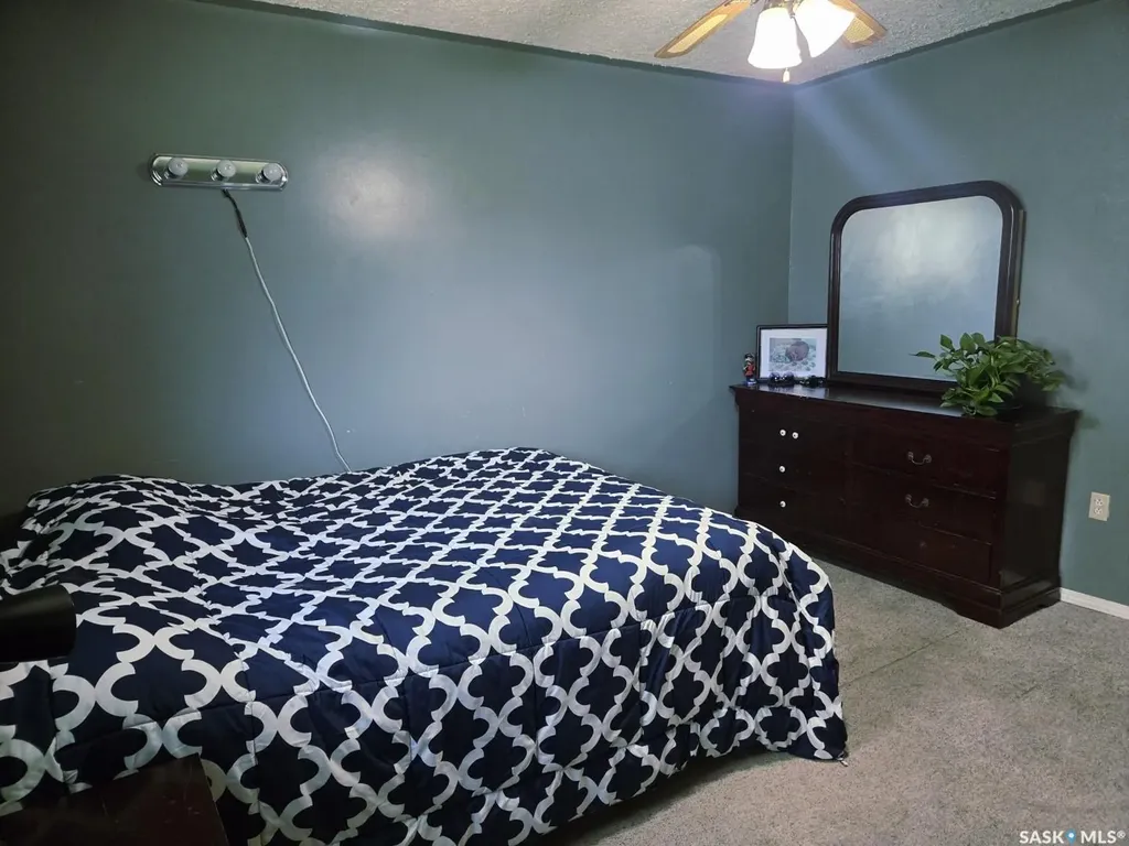 324 Norreys Street Drake SK S0K 1H0