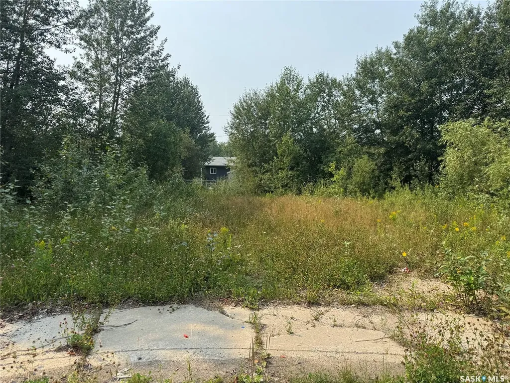 915 Mowery Place La Ronge SK S0J 1L0