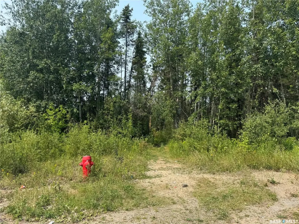 920 Mowery Place La Ronge SK S0J 1L0