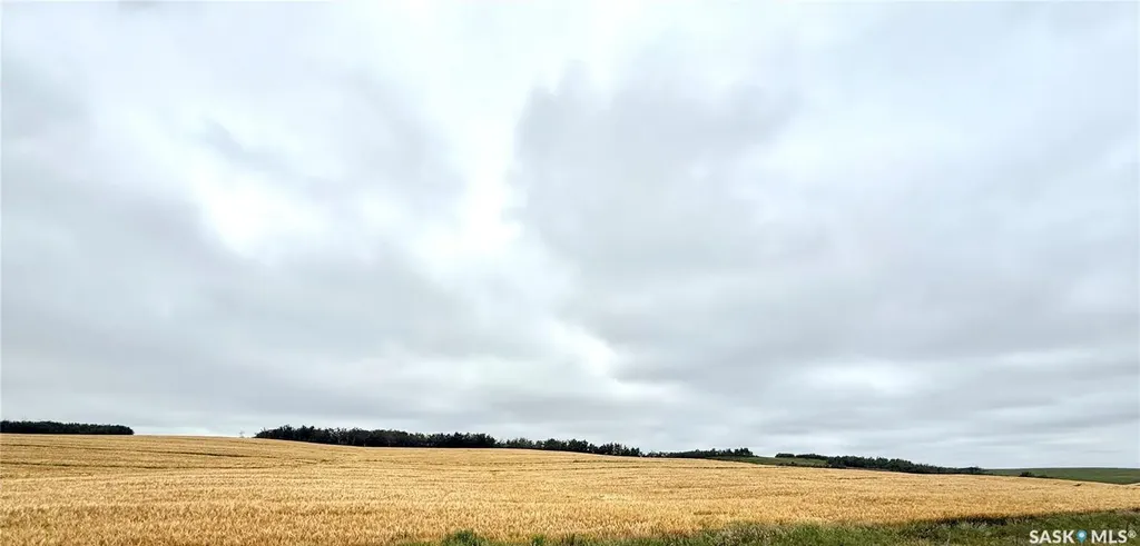 Rural Address Douglas Rm No. 436 SK S0M 2V0