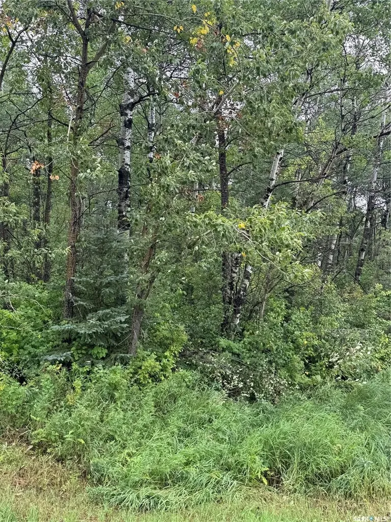 Rural Address Hudson Bay Rm No. 394 SK S0E 0Y0