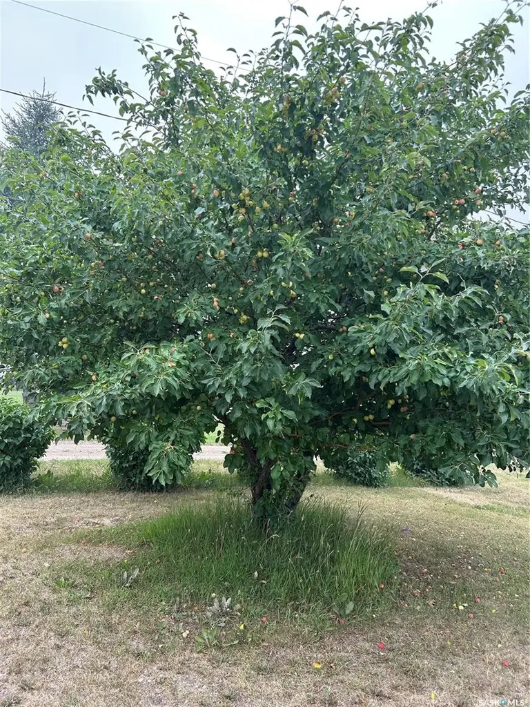 203 Prouse Street Kelvington SK S0A 1W0