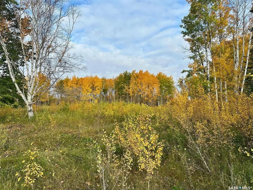 Rural Address Hudson Bay SK S0E 0Y0