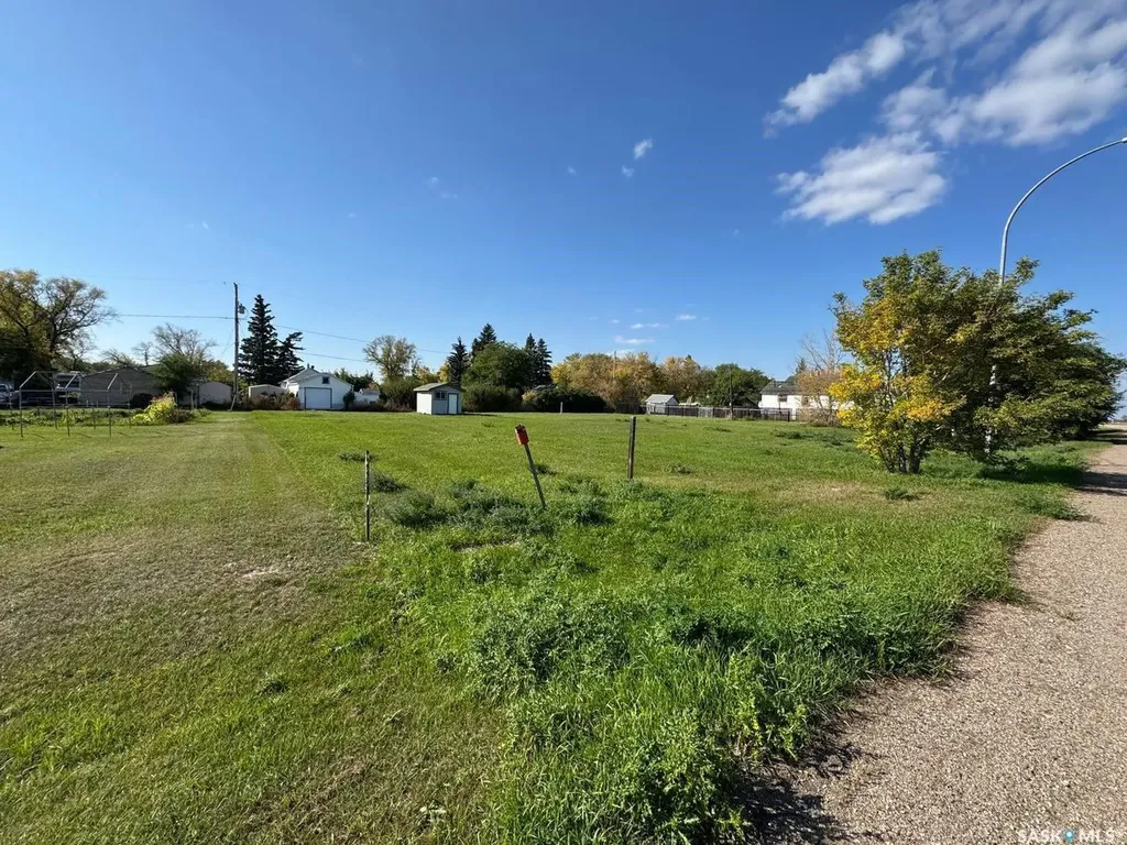 217 James Street Radisson SK S0K 3L0