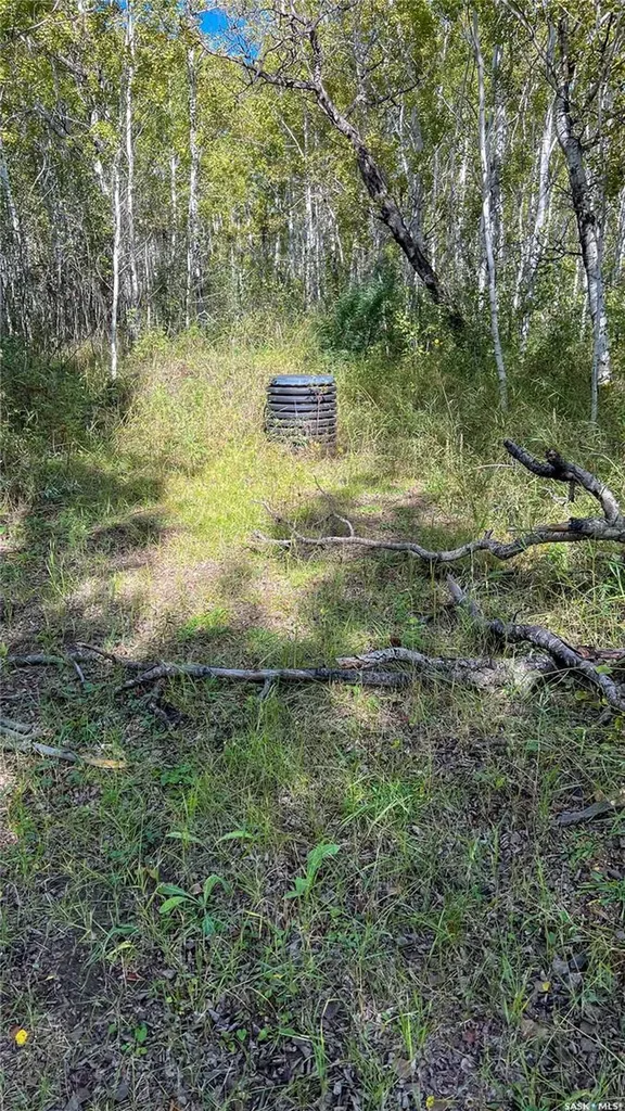 Rural Address Turtle River Rm No. 469 SK S0M 0V0