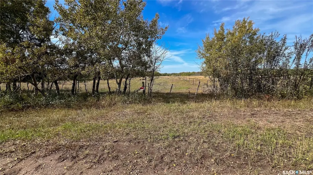 Rural Address Turtle River Rm No. 469 SK S0M 0V0