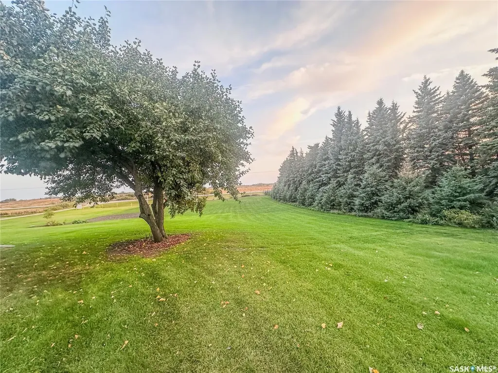 Rural Address Fertile Belt Rm No. 183 SK S0A 3Y0