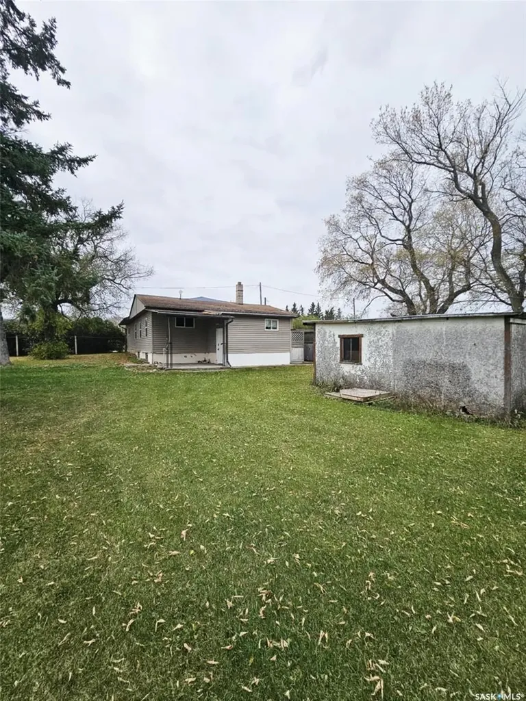 45 Assiniboia Avenue Dubuc SK S0A 0R0