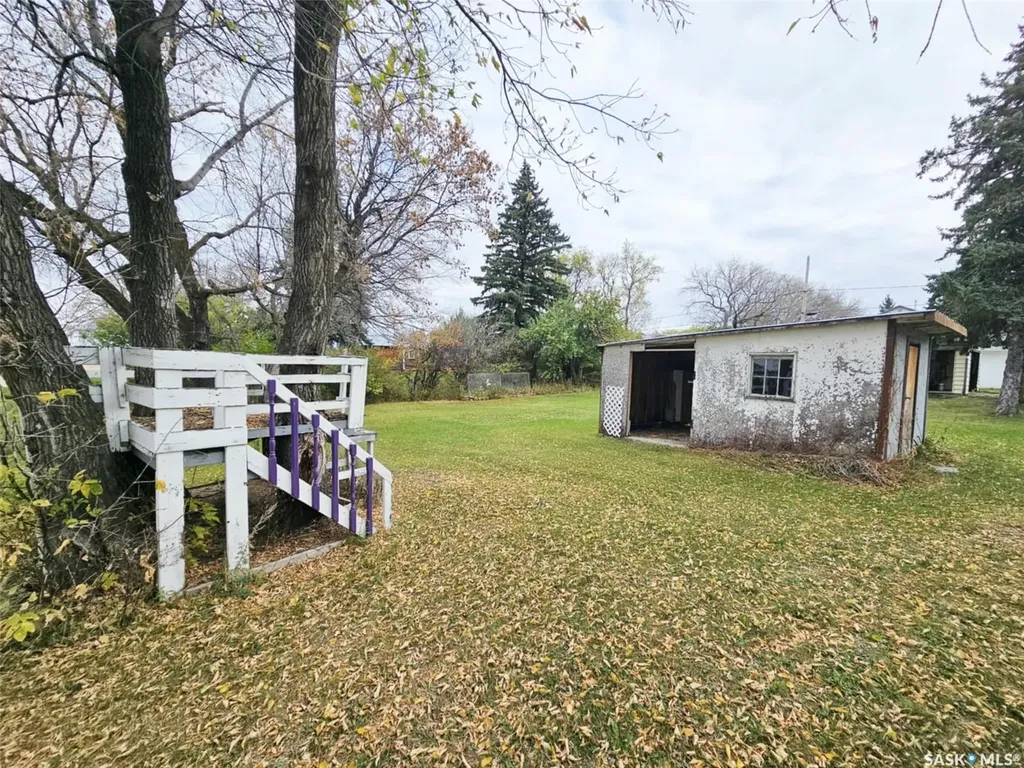 45 Assiniboia Avenue Dubuc SK S0A 0R0