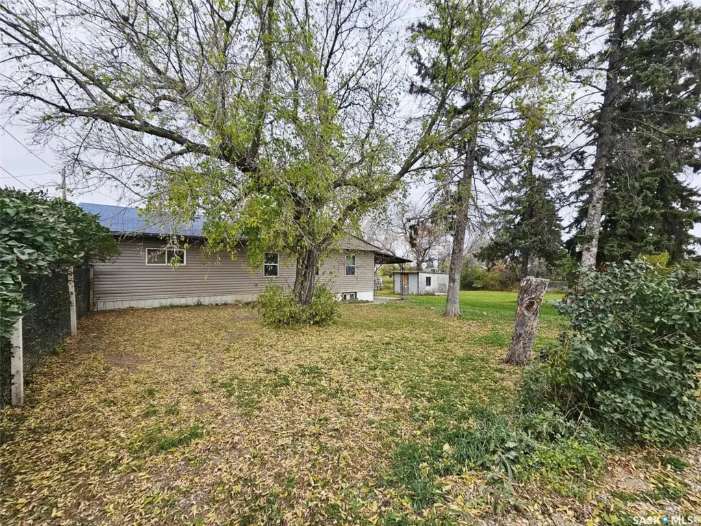 45 Assiniboia Avenue Dubuc SK S0A 0R0