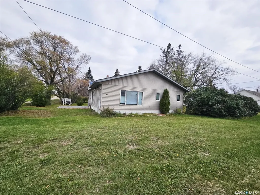45 Assiniboia Avenue Dubuc SK S0A 0R0