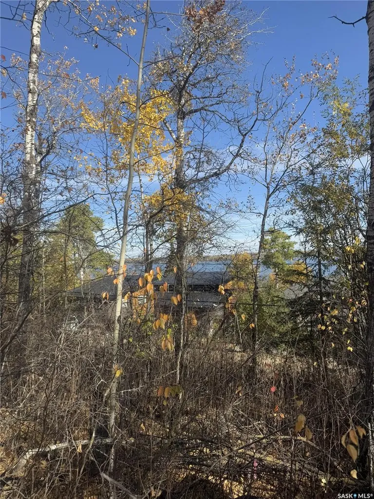 140 Carwin Park Lakeland Rm No. 521 SK S0J 0N0