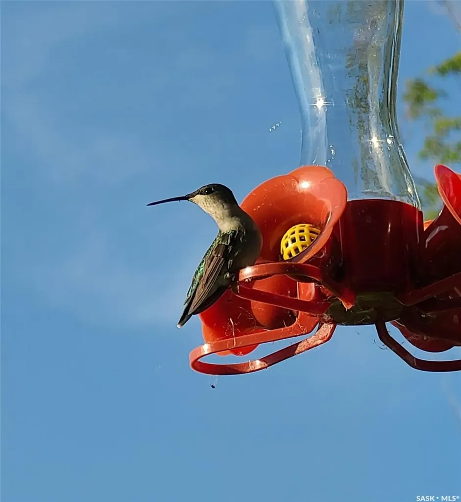 Rural Address Fertile Belt Rm No. 183 SK S0A 0X0