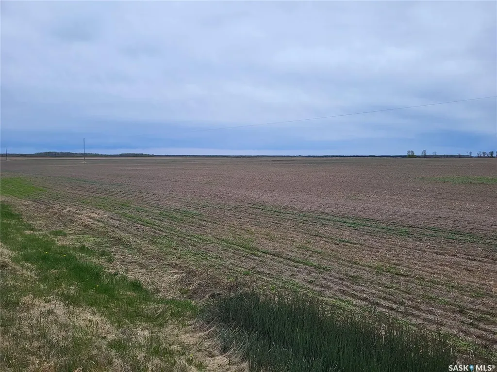 Rural Address Torch River Rm No. 488 SK S0J 0B1