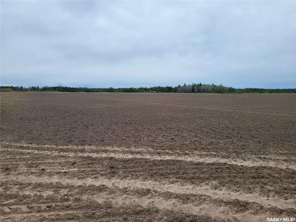 Rural Address Torch River Rm No. 488 SK S0J 0B1