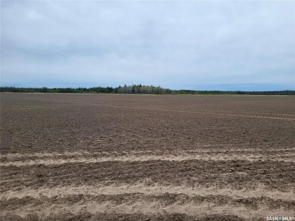 Rural Address Torch River Rm No. 488 SK S0J 0B1