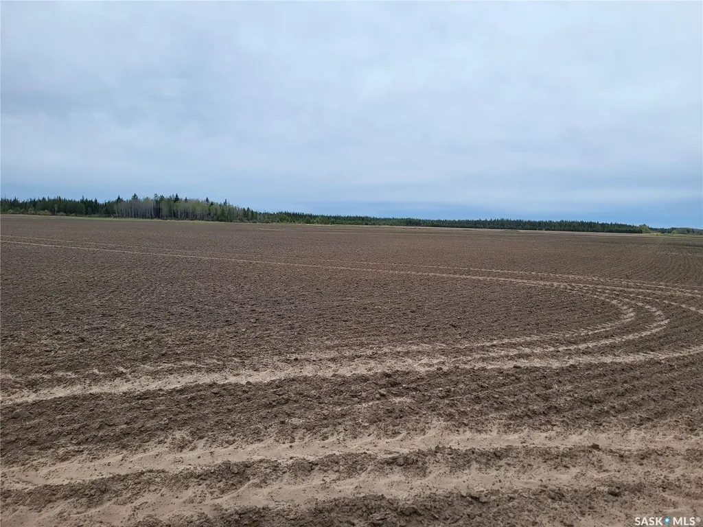Rural Address Torch River Rm No. 488 SK S0J 0B1