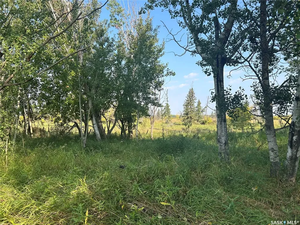 Rural Address Barrier Valley Rm No. 397 SK S0E 0B0