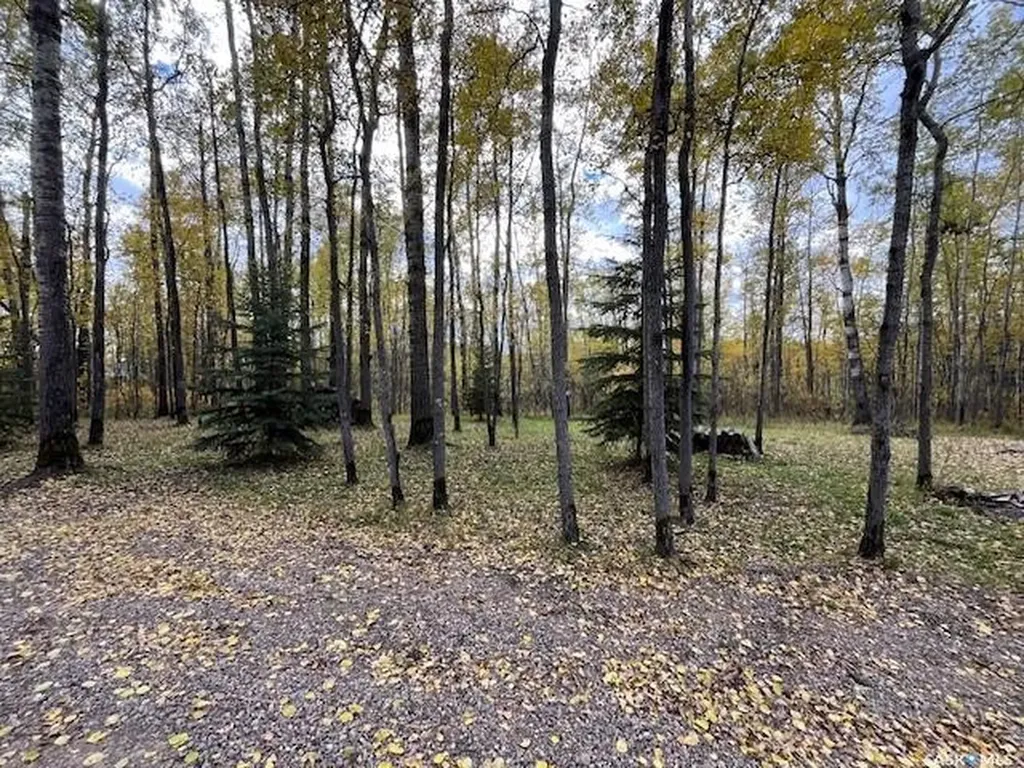 Rural Address Beaver River Rm No. 622 SK S0M 1A0