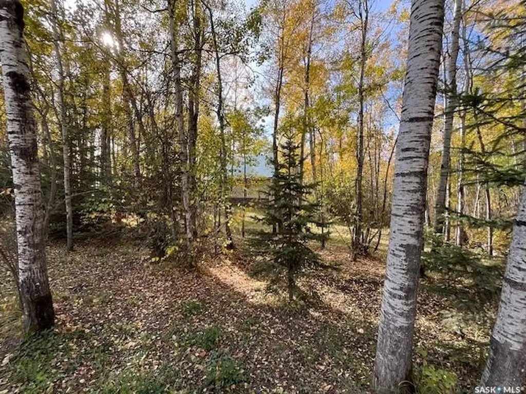 Rural Address Beaver River Rm No. 622 SK S0M 1A0