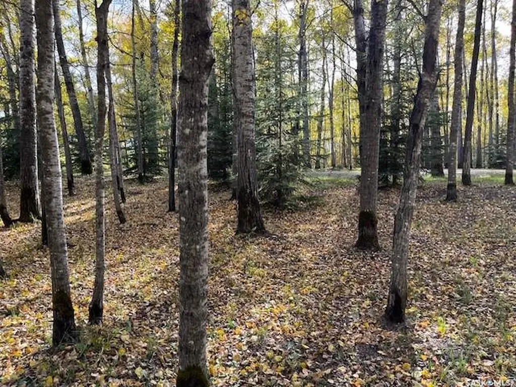 Rural Address Beaver River Rm No. 622 SK S0M 1A0