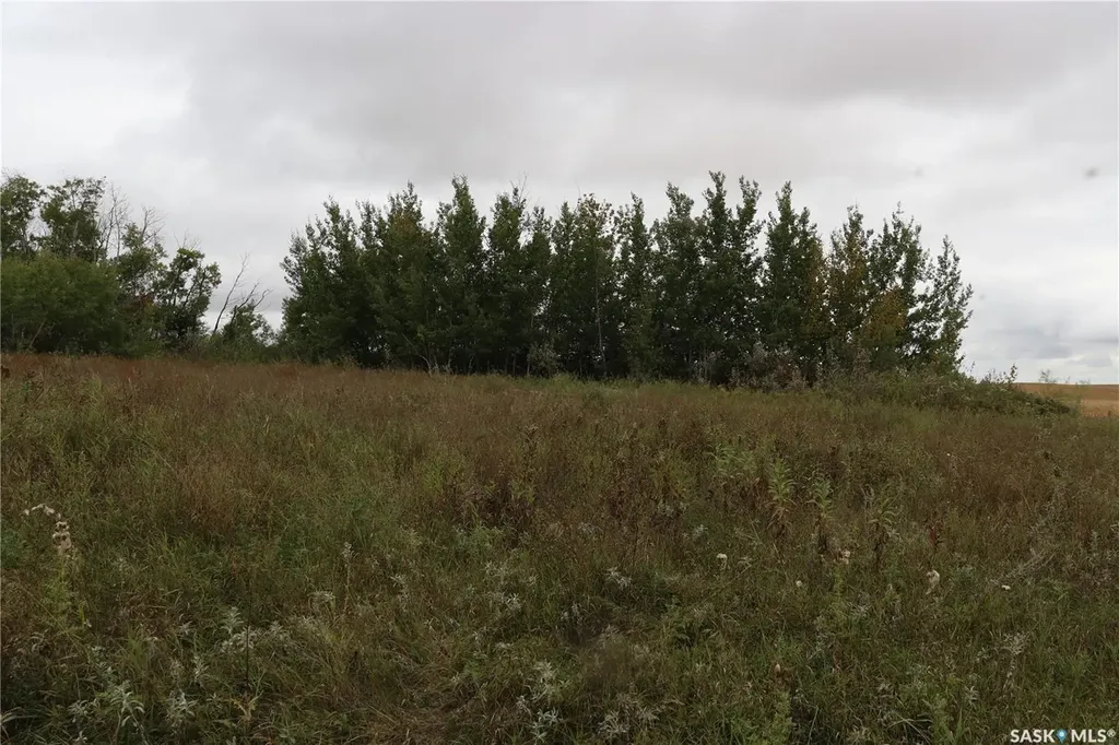 Rural Address Prince Albert Rm No. 461 SK S0K 2S0