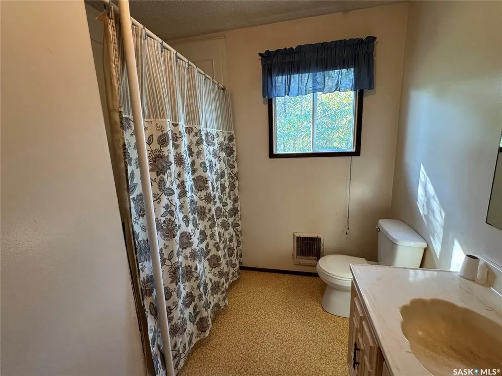 202 4th Avenue Landis SK S0K 2K0