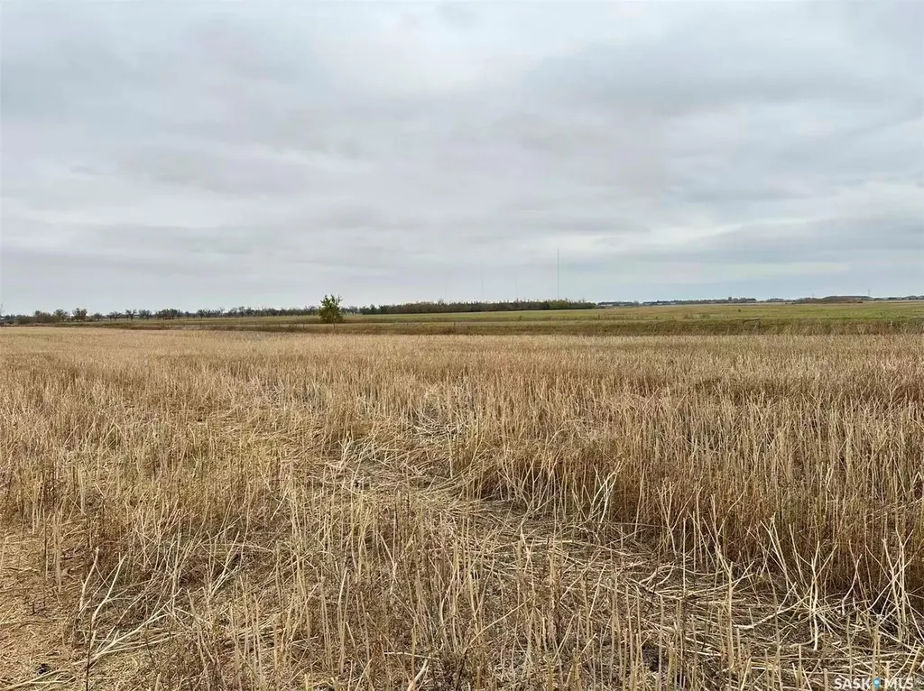 Rural Address Corman Park Rm No. 344 SK S7V 0L2