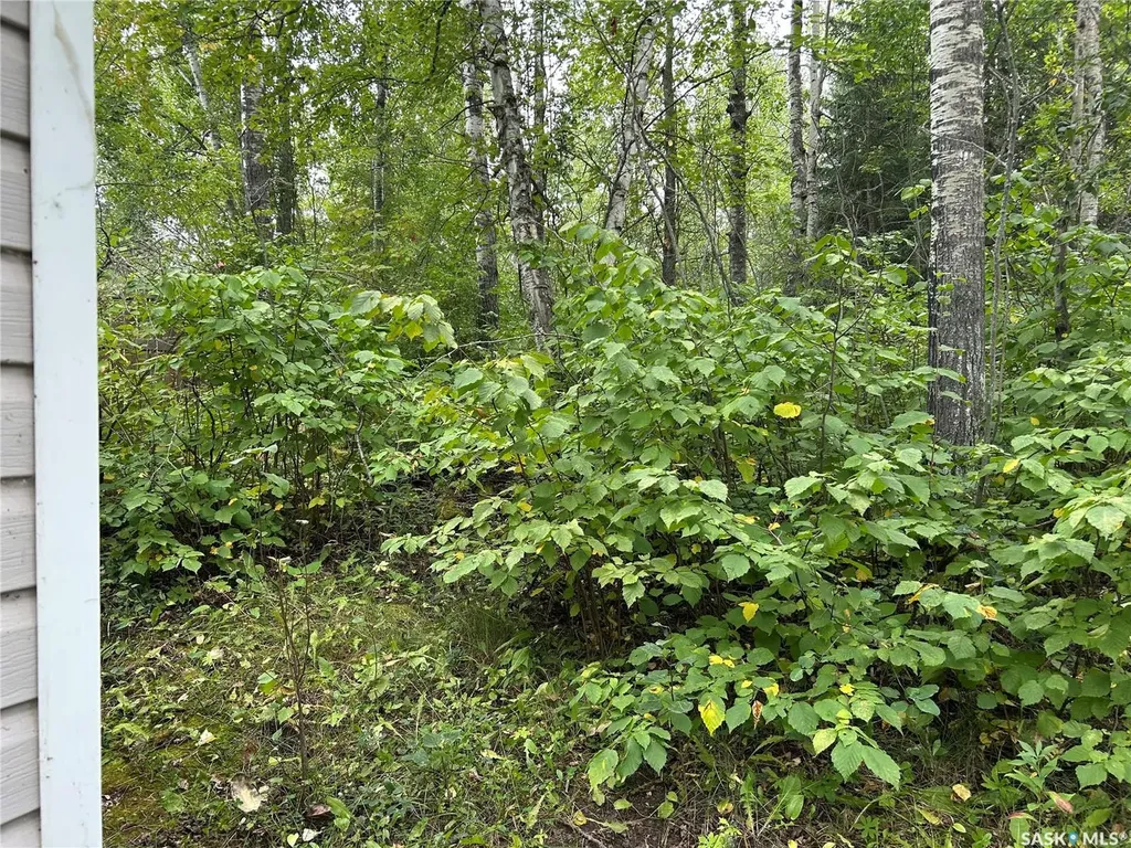 6040 Spruce Way Bjorkdale Rm No. 426 SK S0E 0E0