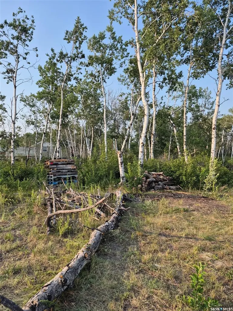 309 Sandy Crescent Good Lake Rm No. 274 SK S0A 0L0
