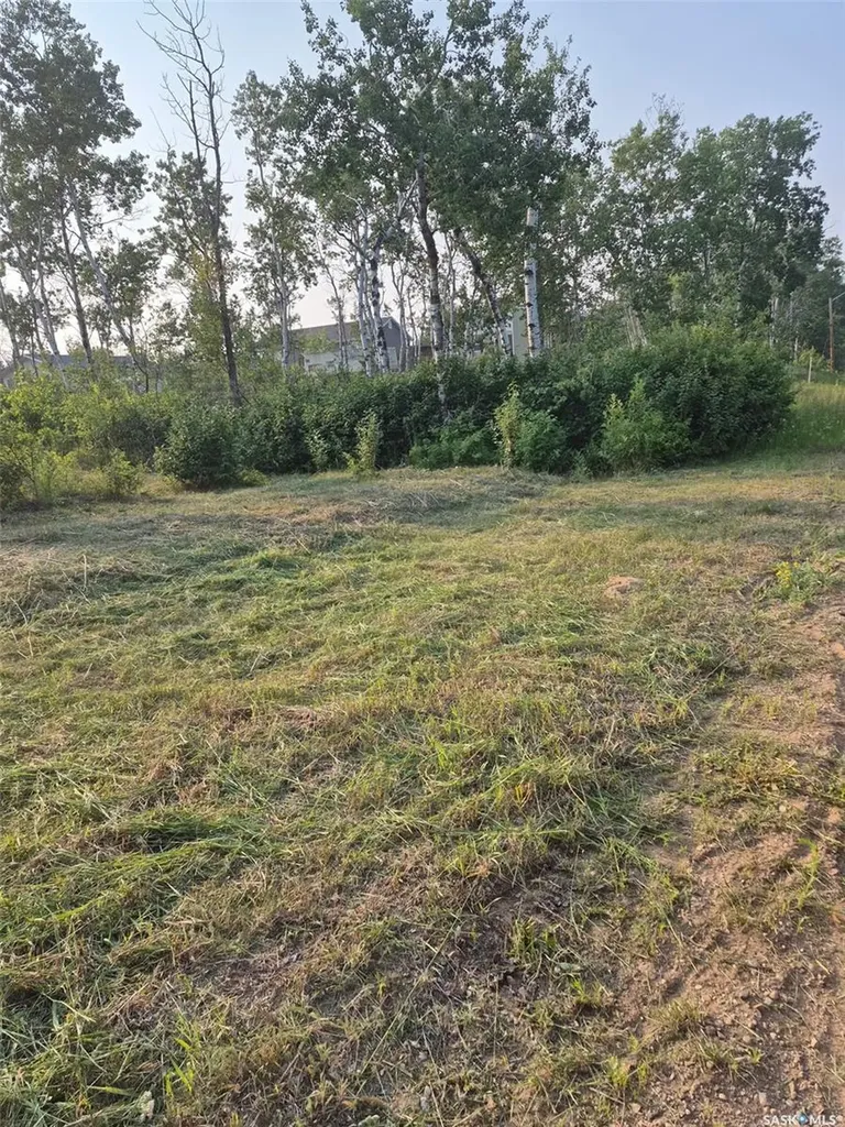 309 Sandy Crescent Good Lake Rm No. 274 SK S0A 0L0
