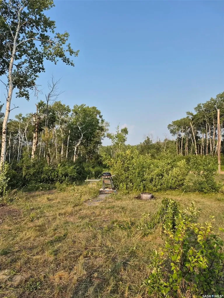 309 Sandy Crescent Good Lake Rm No. 274 SK S0A 0L0