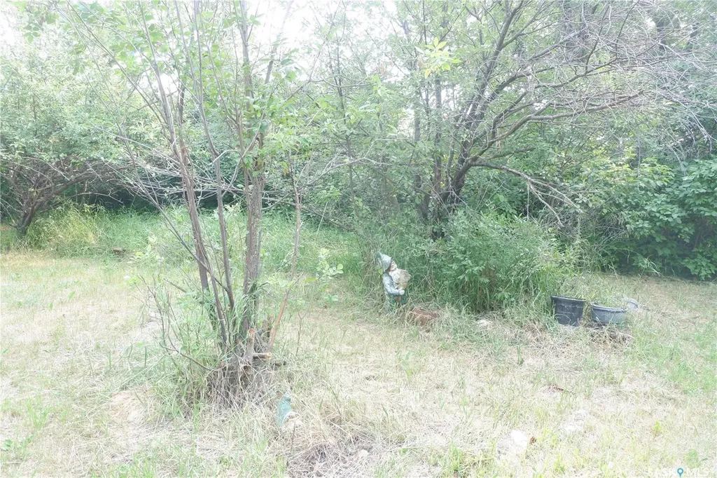 38 Kasper Crescent Assiniboia SK S0H 0B0