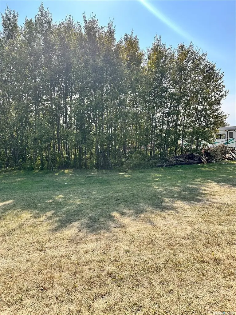 323 Lakeview Drive Keys Rm No. 303 SK S0A 3X0