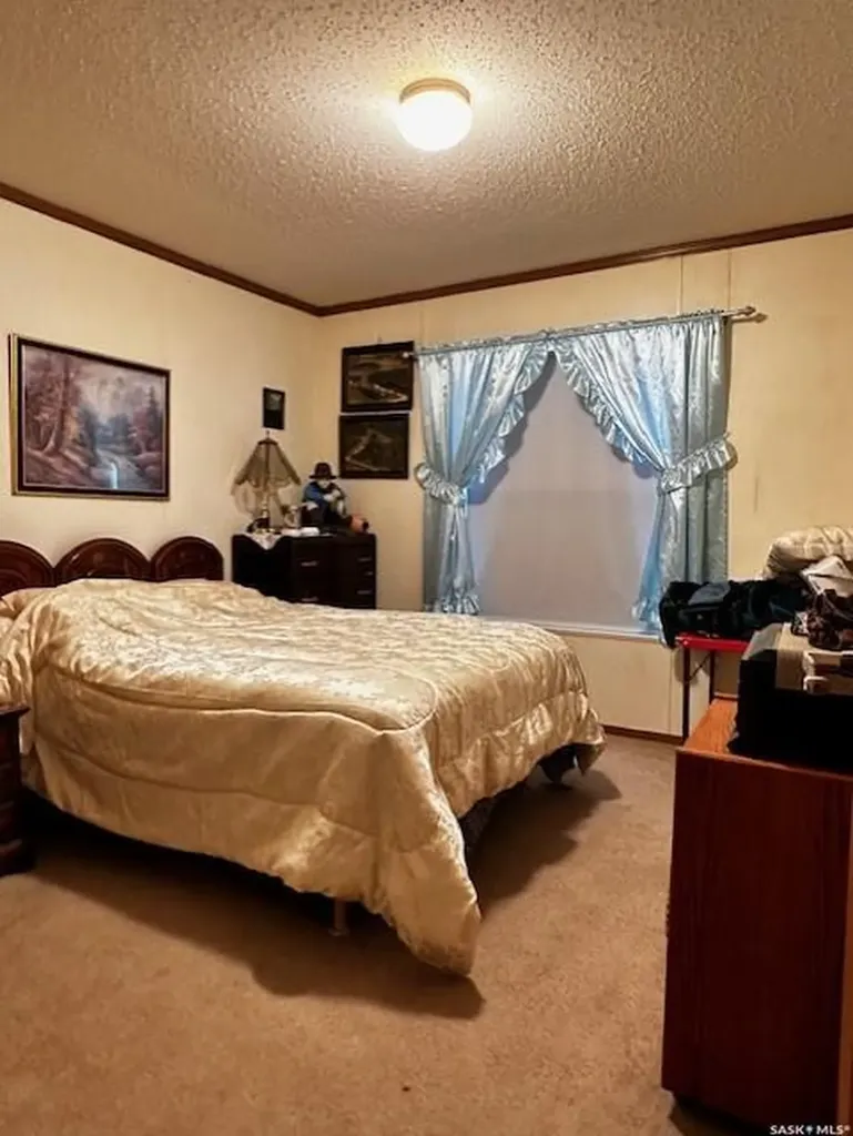215 Louis Street Neudorf SK S0A 2T0
