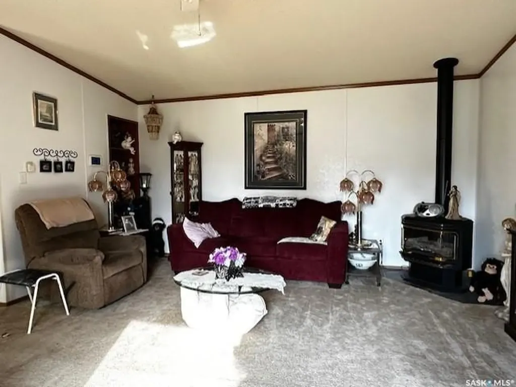 215 Louis Street Neudorf SK S0A 2T0