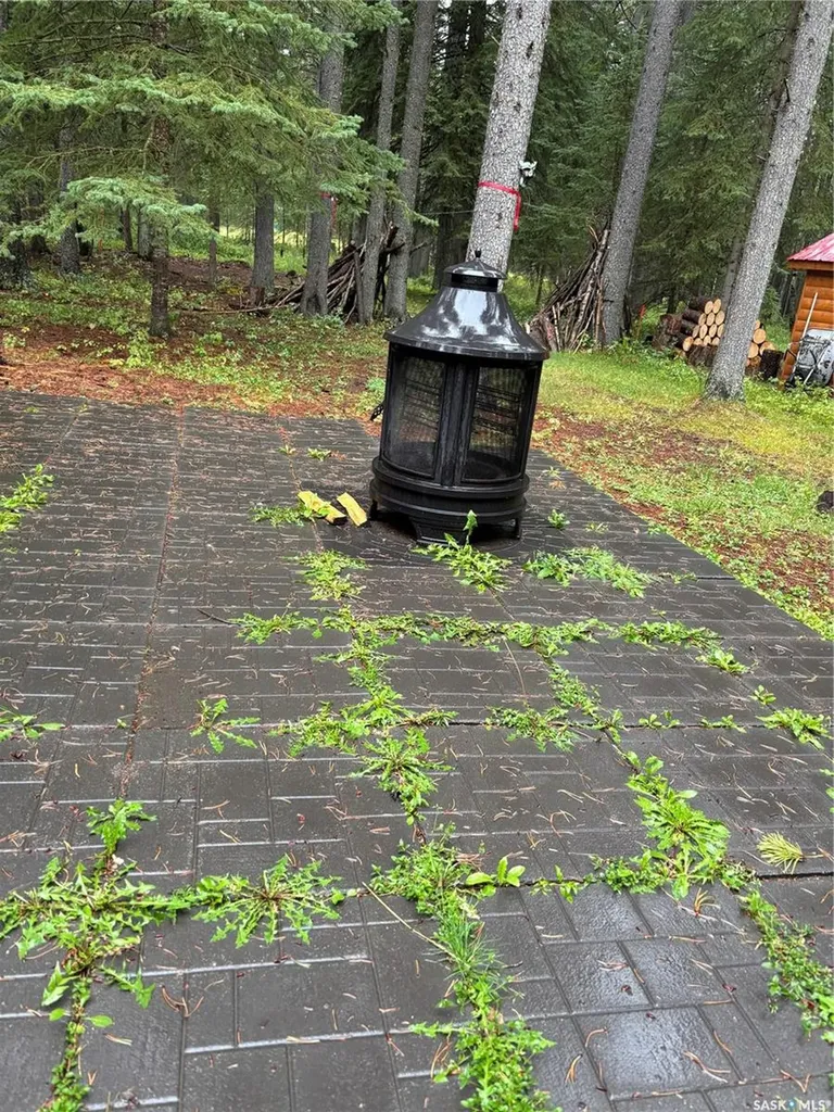 615 Pine Creek Crescent Cypress Hills Provincial Park SK S0N 1N0