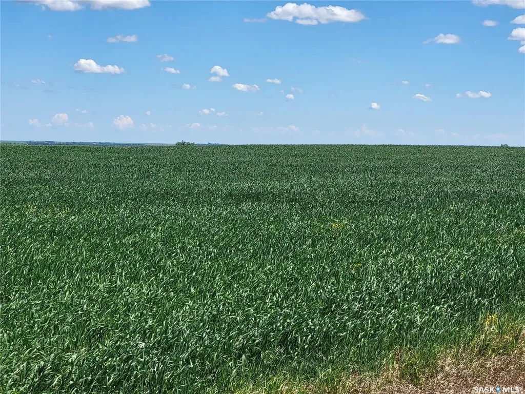 Rural Address Norton Rm No. 69 SK S0C 2C0