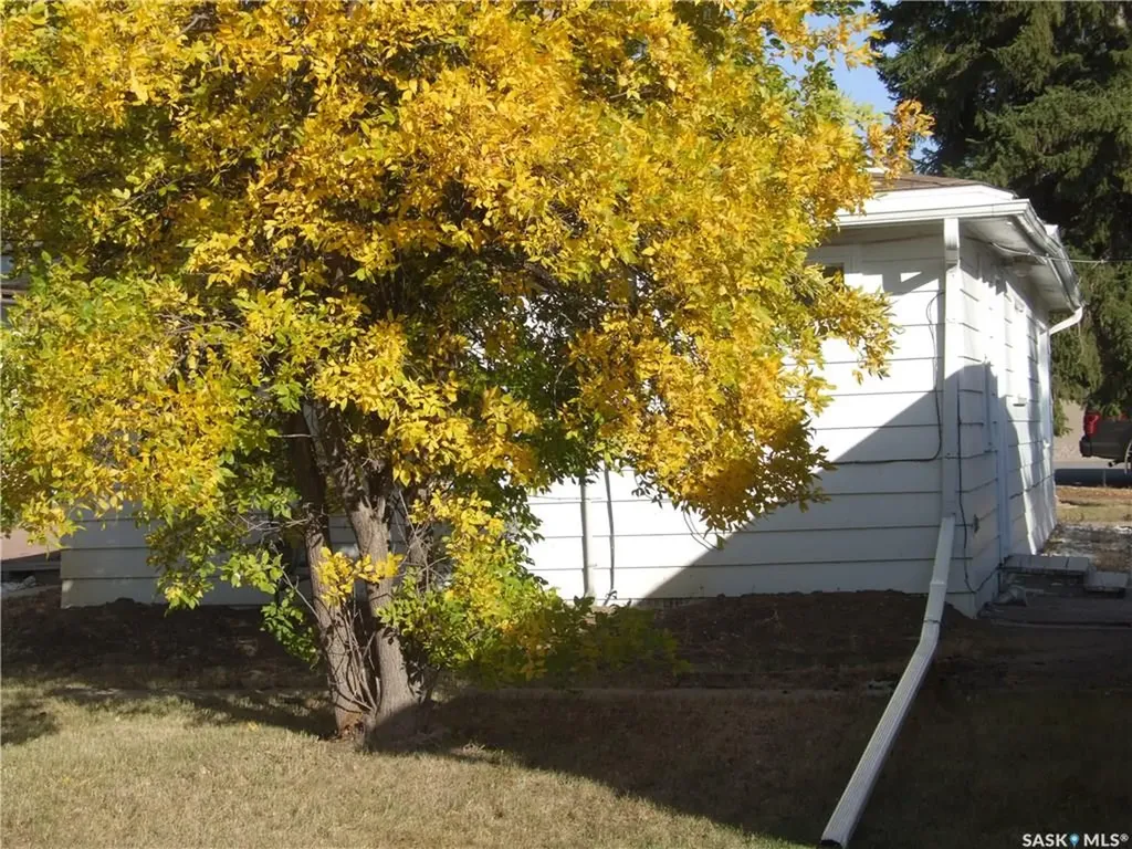 118 2nd Street W Leader SK S0N 1H0