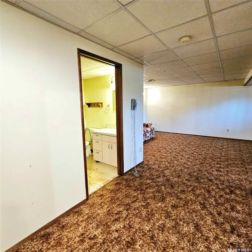 219 Carl Avenue E Langenburg SK S0A 2A0