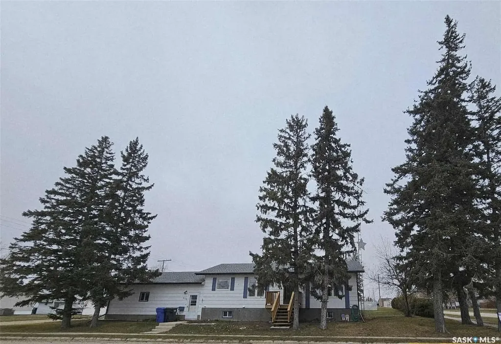 219 Carl Avenue E Langenburg SK S0A 2A0