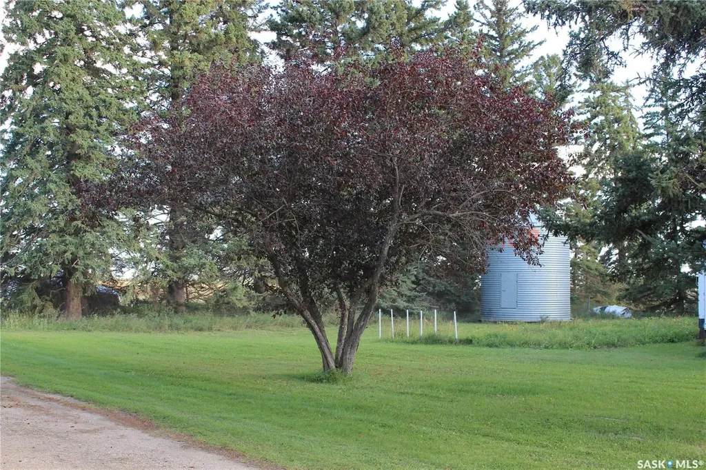 Rural Address Willow Creek Rm No. 458 SK S0E 1A0