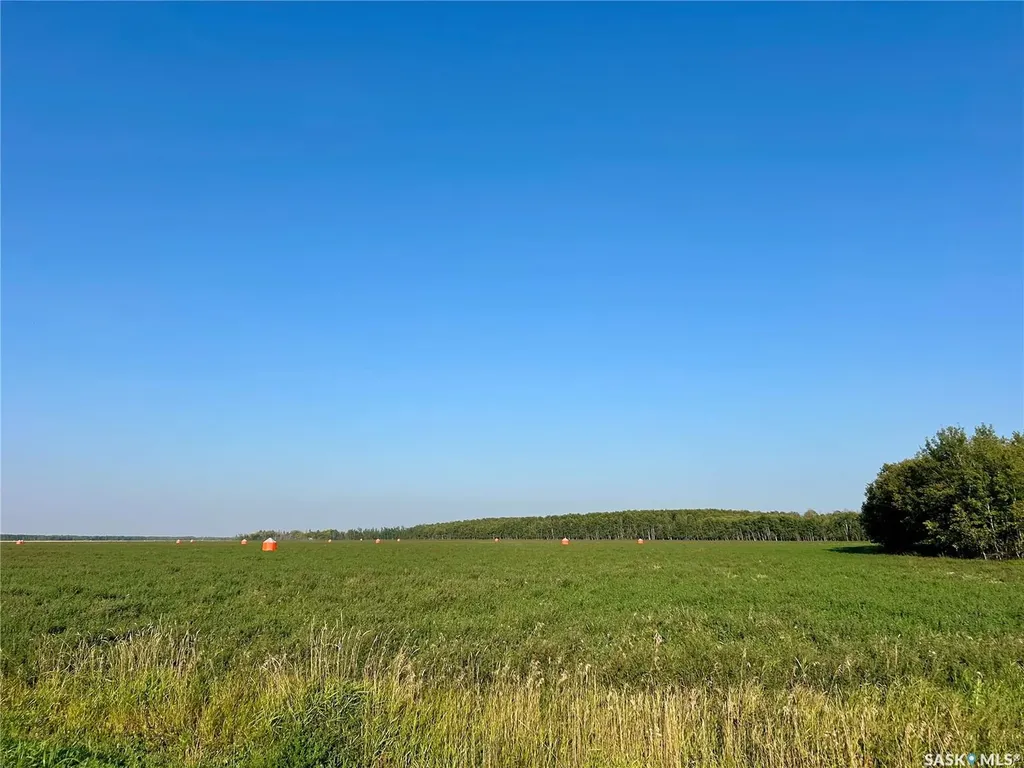 Rural Address Arborfield Rm No. 456 SK S0E 0A0