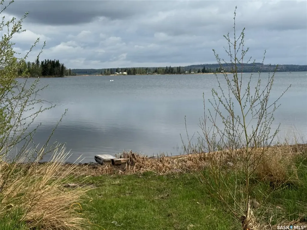 On Dore Road Dore Lake SK S0M 1B0