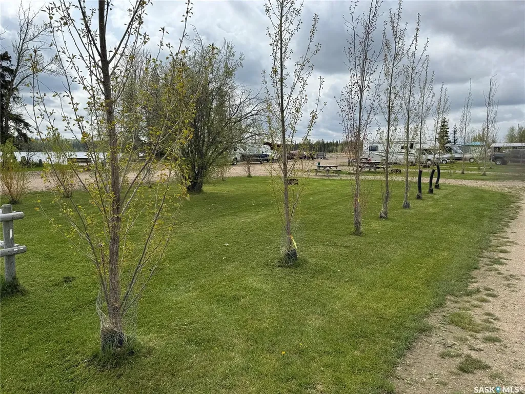 On Dore Road Dore Lake SK S0M 1B0