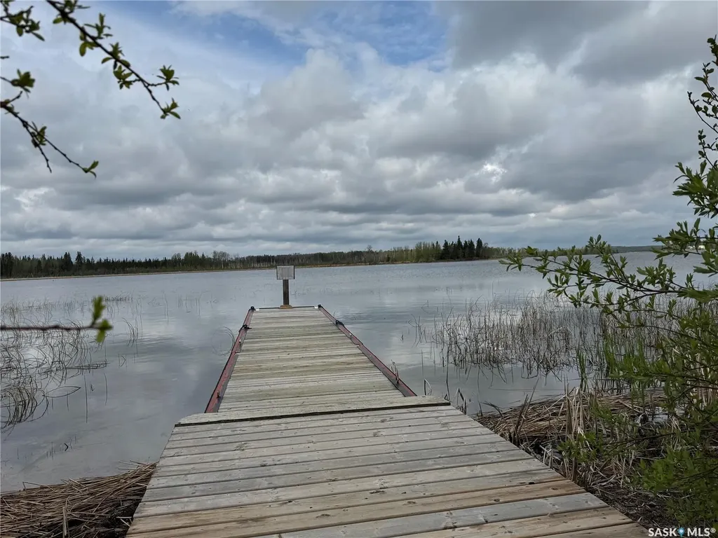 On Dore Road Dore Lake SK S0M 1B0