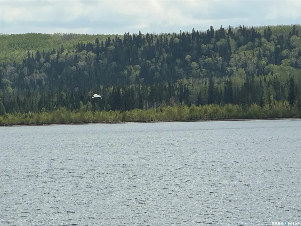 On Dore Road Dore Lake SK S0M 1B0