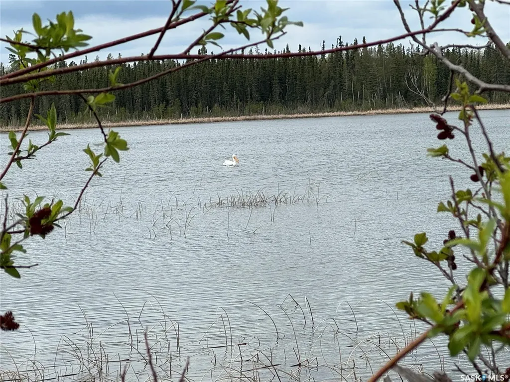 On Dore Road Dore Lake SK S0M 1B0