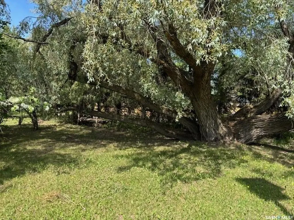 150 Shevchenko Crescent Canora SK S0A 0L0