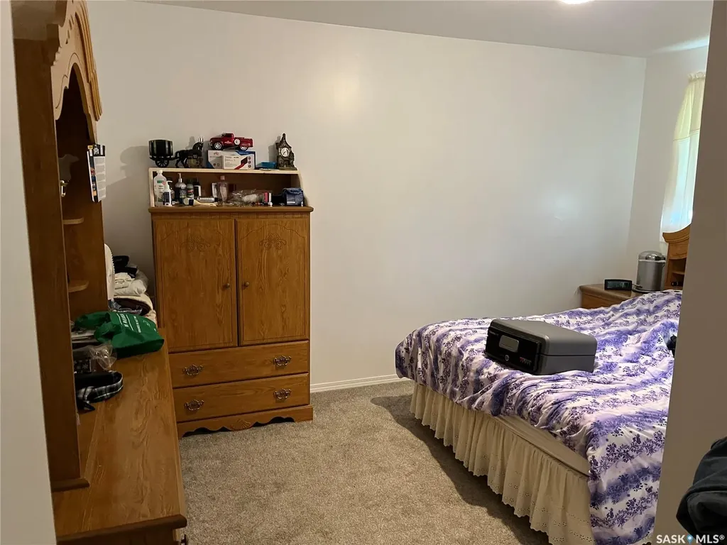 204 William Street Hazenmore SK S0H 1C0